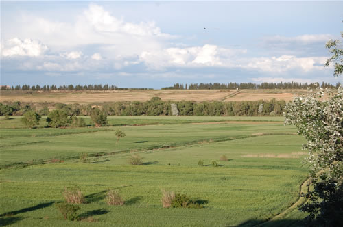 Albalatillo carrera orbea 2010