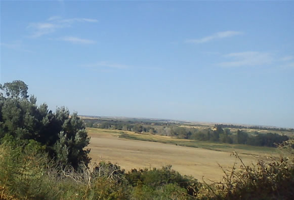 albalatillo farolas leds