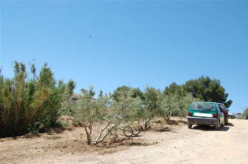 albalatillo san isidro