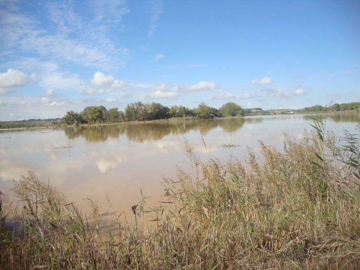 albalatillo inundaci�n en la huerta vieja