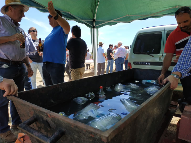 albalatillo san isidro 2019