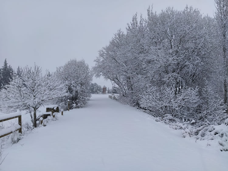 Copiosa nevada, filomena pasa por Abalatillo