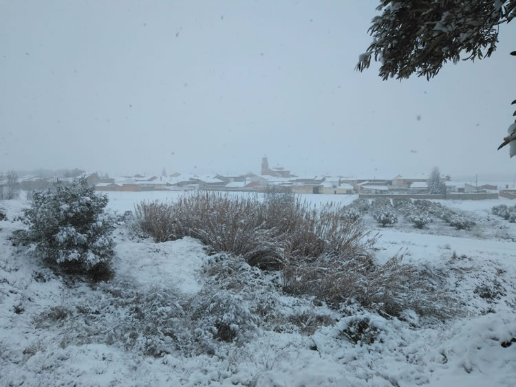 Copiosa nevada, filomena pasa por Abalatillo