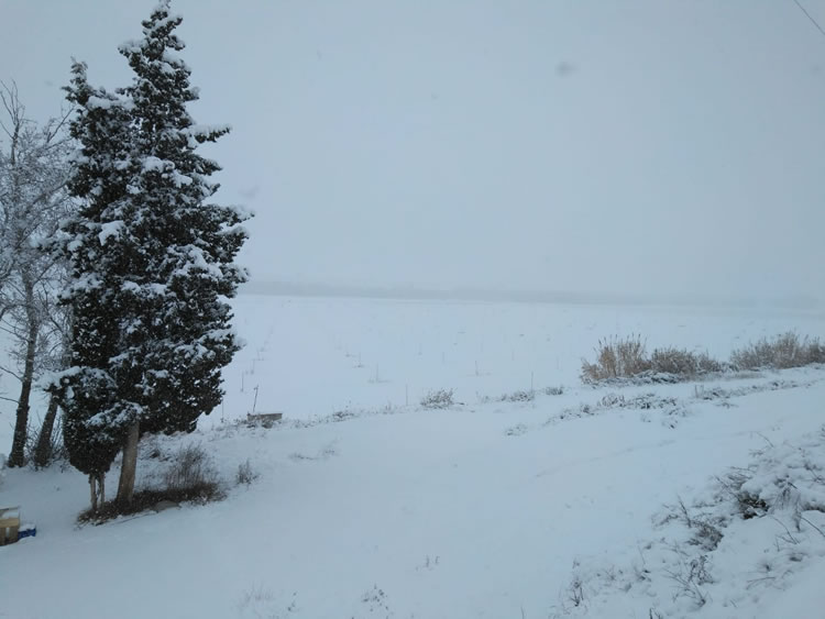 Copiosa nevada, filomena pasa por Abalatillo