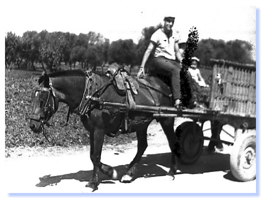 fotograf&iacute;as antiguas de Albalatillo