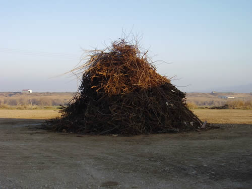 hogueras de san anton