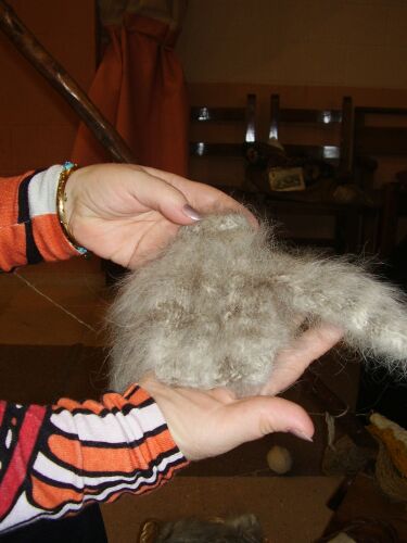 Jersey de pelo de mast&iacute;n del pirineo